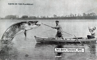 Illustration for article titled Tall Tale Fishing Postcards, The Ultimate Humblebrag Of The Early 1900s